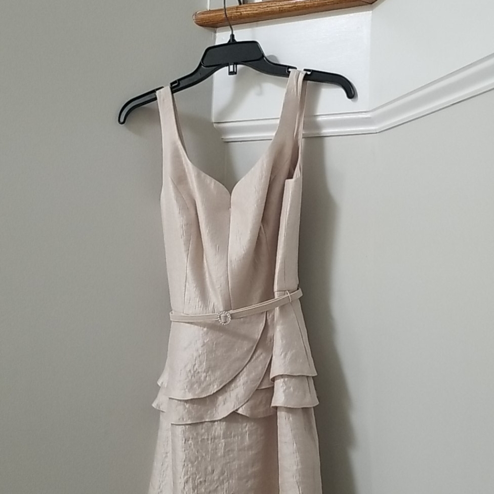 Formal champagne dress